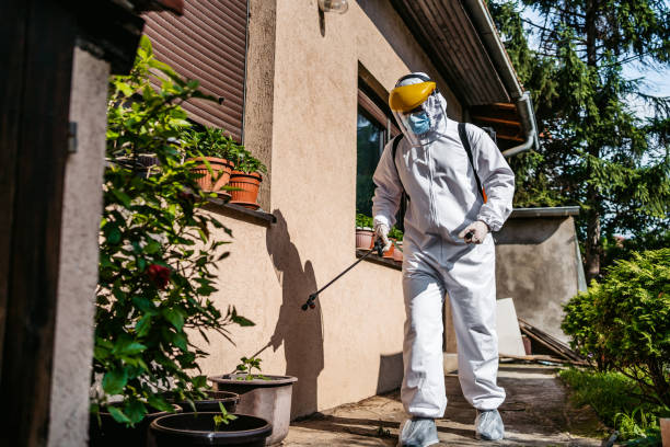 Flea Control Services in Lamar, SC