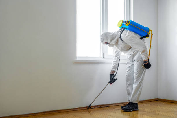 Best Emergency Pest Control  in Lamar, SC