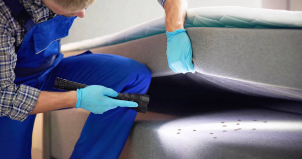 Best Best Pest Control Companies  in Lamar, SC