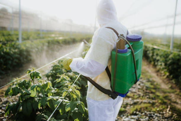 Best Pest Control Near Me in Lamar, SC